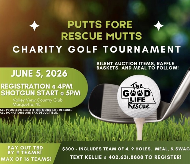 Putts Fore Rescue Mutts 