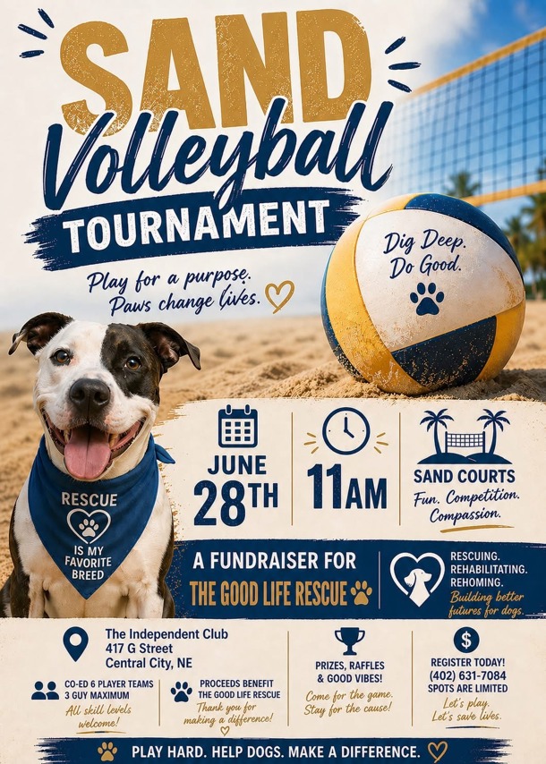 Sand Volleyball Tournament - Play for Paws!