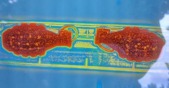 NSP Bomb Squad, National Guard Handle Grenades Found in Lincoln