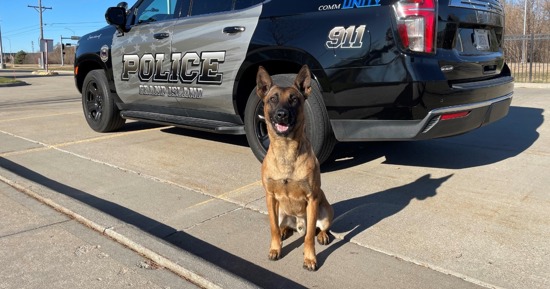 GIPD K9 “Mando” to Receive Donation of Body Armor