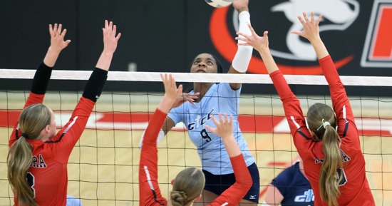 Photo Credit: Josh Salmon