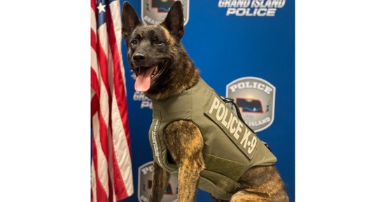 GIPD K9 Cello Receives Donation of Body Armor